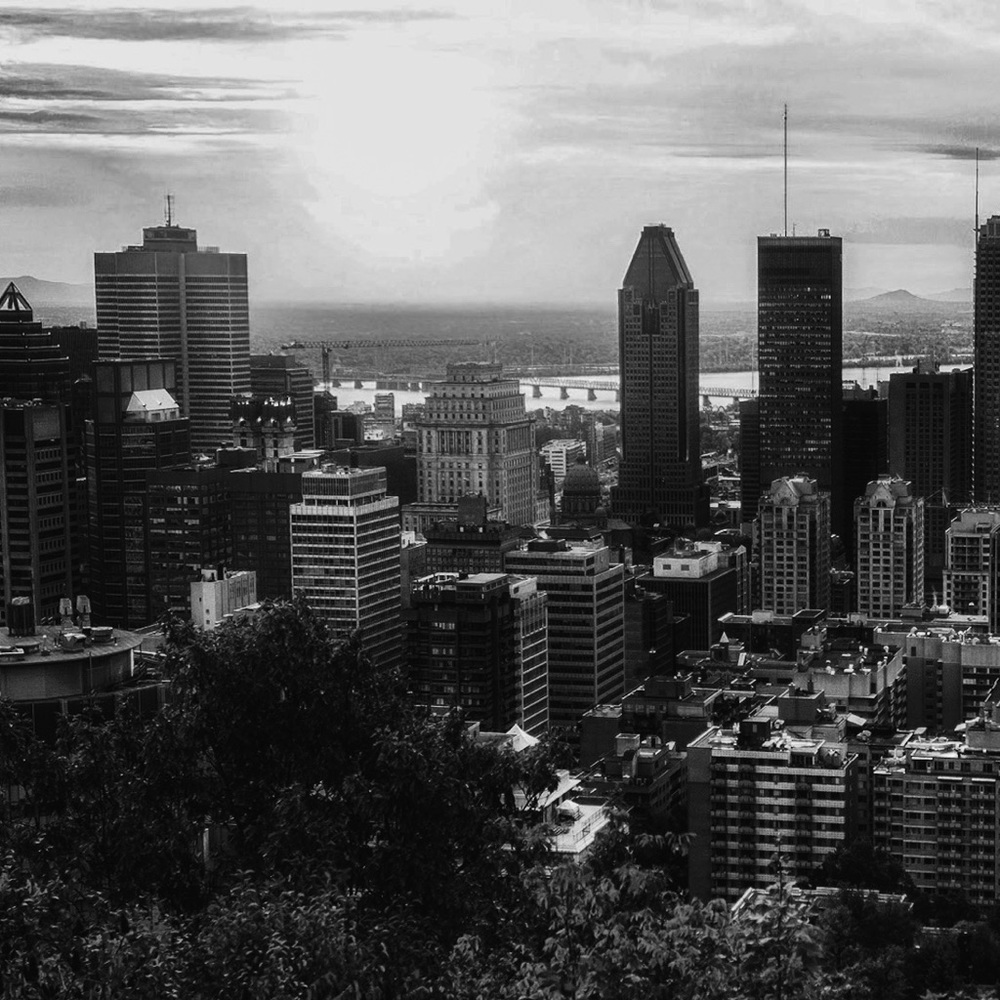 Meet your Posher, Violeta